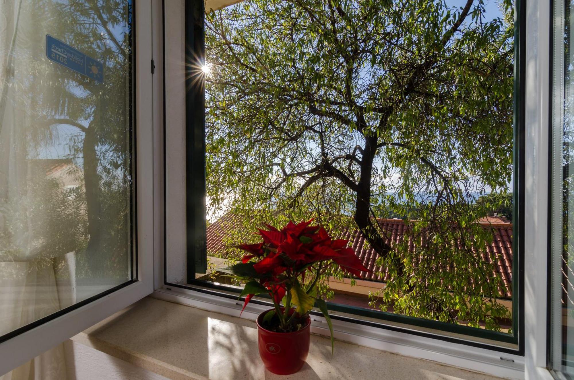 B&B Villa Dubrovnik Garden Номер фото